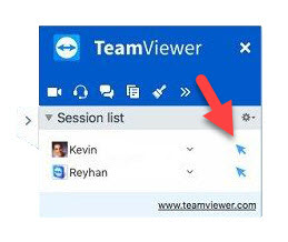 Teamviewer%20Sessions